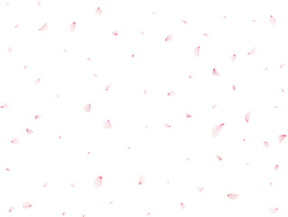 Cherry Flower Petals