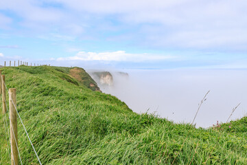 Breathtaking Views at Bempton Cliffs Bird Sanctuary