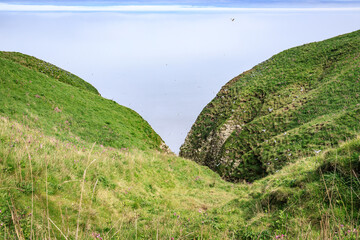 Breathtaking Bempton Cliffs Landscape in York