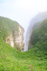  Mystic Fog Envelops Bempton Cliffs, A Seabird Sanctuary