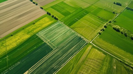 Aerial top view of panorama seen from above of the plain with the cultivated fields divided into geometric shapes in spring background, copy space