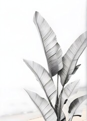 Discover the Beauty of Banana Leaves on a Beach Background - An Impressive Visual Journey