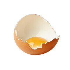 healthy egg isolated on white