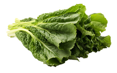 White background accentuates mustard greens on white background