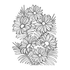 Aster flower drawing. black and white flower illustration.  Flowers bouquet. Wedding invitation flower design. Flowers coloring page.
