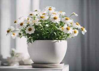 Flowerpot on light background.