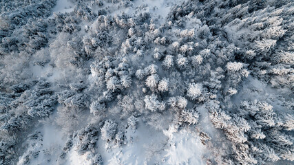 drone flight over the snow-capped mountains of Revard in Aix-Les-Bains in Savoie