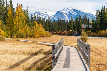 Spring Creek, Policeman Creek Boardwalk Trail in fall season. Town of Canmore, Alberta, Canada.