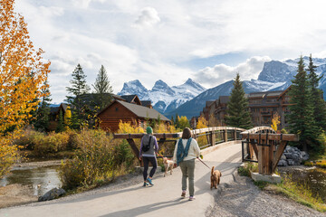 Residents walking the dogs in Town of Canmore in fall season. Canmore Opera House at Spring Creek beside the wooden boardwalk bridge. Alberta, Canada.