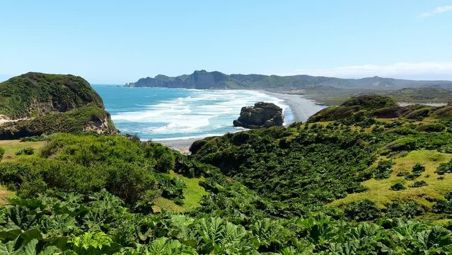 Panoramic view of the beach at cucao in tepuheico park with a forest of nalcas (Gunnera tinctoria), Chiloe, Chile