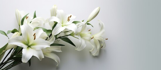 White lilies in a bouquet on a sunny day 