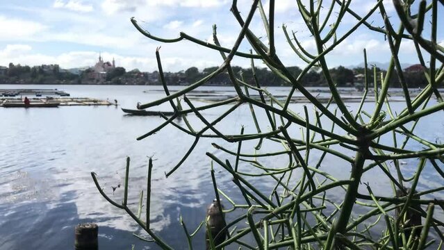 unrecognizable boatman is rowing his bamboo fishing boat across the lake, obstructed by mistletoe cactus. Blurs, Selective focus