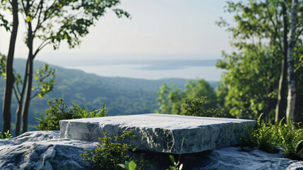Top view of stone podium stand with leaves. Summer tropical background for luxury product placement. top of the mountain. 