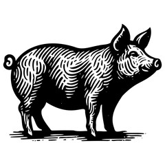 Pig in black and white, woodcut style