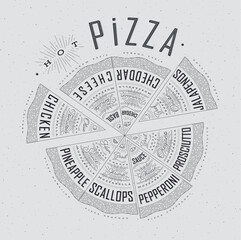 Poster featuring slices of various pizzas, chicken, seafood, pepperoni, cheese, margherita with recipes and names showcased in hot pizza lettering, drawn on a grey background.