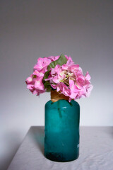 bright pink hydrangea in a green jar with water drops, storis, background
