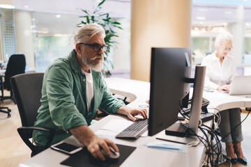 Mature Caucasian businessman with white beard working at computer in bright office, female...