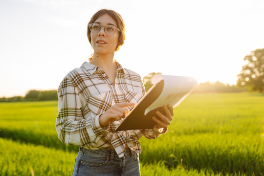Young woman farmer is checking harvest progress on a tablet at the green wheat field. New crop of wheat is growing. Agricultural and farm concept.