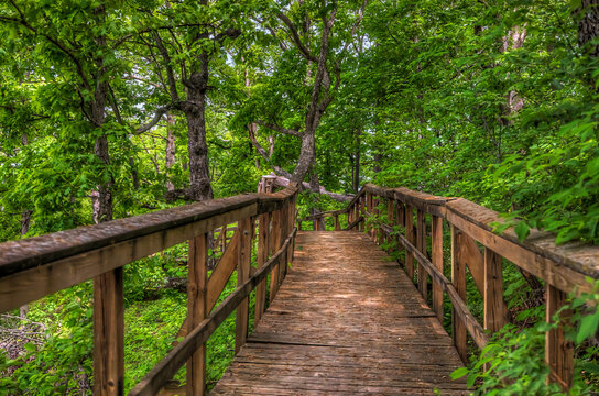 Boardwalk at the Top.  At the top of Eagle Bluff where the terrain is steep a boardwalk has been constructed to minimize erosion, and make the trail safer to hike on. 
