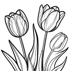 Tulip flower outline digital coloring page for kids and adults - obrazy, fototapety, plakaty