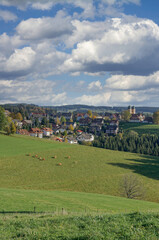 Fototapeta na wymiar famous Village of Sankt Märgen in Black Forest,Germany