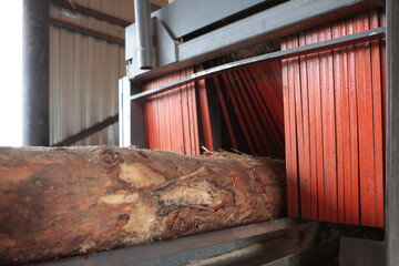 The sawmill. The process of processing logs on a sawmill. The trunk of the tree is being sawed.