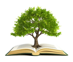 Open Book with Tree Isolated on Transparent Background
