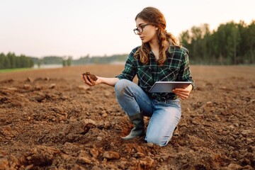 Woman farmer checking soil health before growth a seed of vegetable or plant seedling. Agriculture, gardening or ecology concept - obrazy, fototapety, plakaty