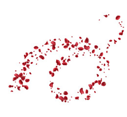 Realistic red rose petals with transparent background. Vector illustration