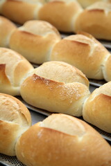 delicious French breads hot from the oven