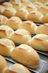 delicious French breads hot from the oven