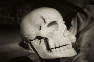 Skull on the Wall - Background - Head - Grunge - Concept - Creepy - Tomb - Bizarre 