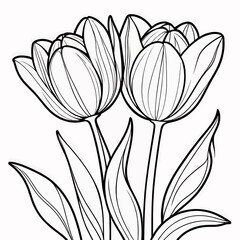 Tulip flower outline digital coloring page for kids and adults