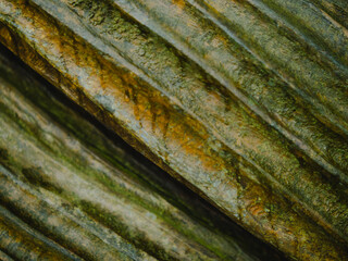 Nature's Canvas: Close-Up on Textured Wood