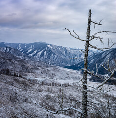 Landscapes of the Altai Mountains in January, Russia