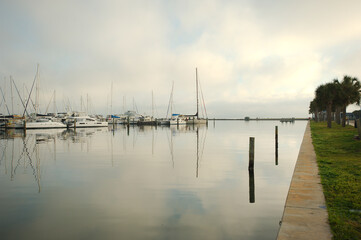 Obraz premium View east leading lines seawall at South Yacht Basin in St. Petersburg, FL. Green Palm Trees on right and boat marina on the left. Airport in the background early AM cloudy after fog lifts.