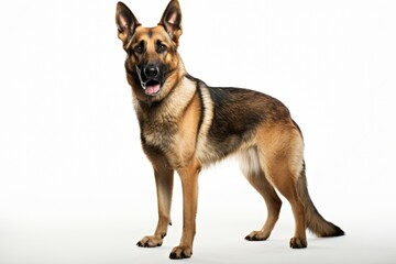 German shepherd dog clipart