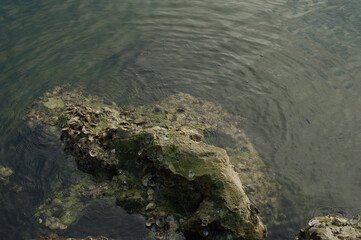 Water flowing around rocks in lower half of picture with small shells. Reflections in water with small ripple waves on a sunny day in Florida. Room for copy on a horizontal shot.