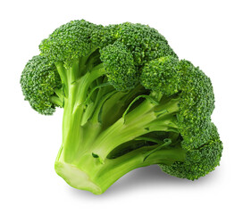 Broccoli isolated on transparent background.