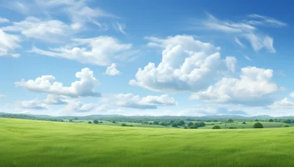 Papier Peint photo Lavable Couleur pistache Green field on the horizon Panoramic green field landscape view. Blue mountains background and bright blue sky. Windows background, wallpaper