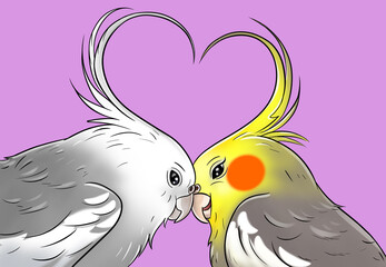 Illustration of a pair of nimpha cockatiel birds with heart