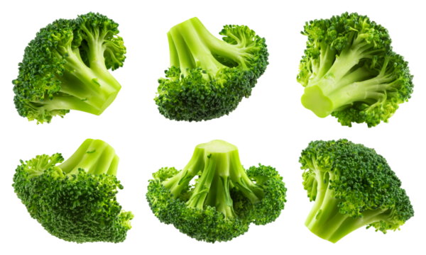 Collection of broccoli isolated on a transparent background, from different angles.