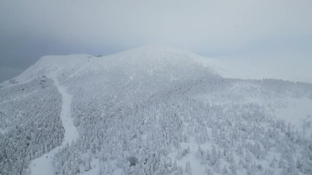 Aerial view forest of snow monster (snow cover trees known as Juhyo in Japanese) and ski slope in Zao Hot Spring Ski Resort at mountain Zao during winter, Yamagata, Japan