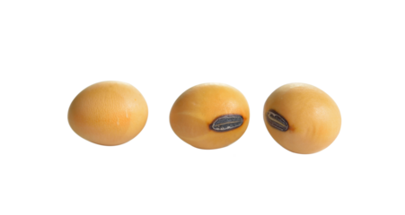 Dried  soybean on  transparent png