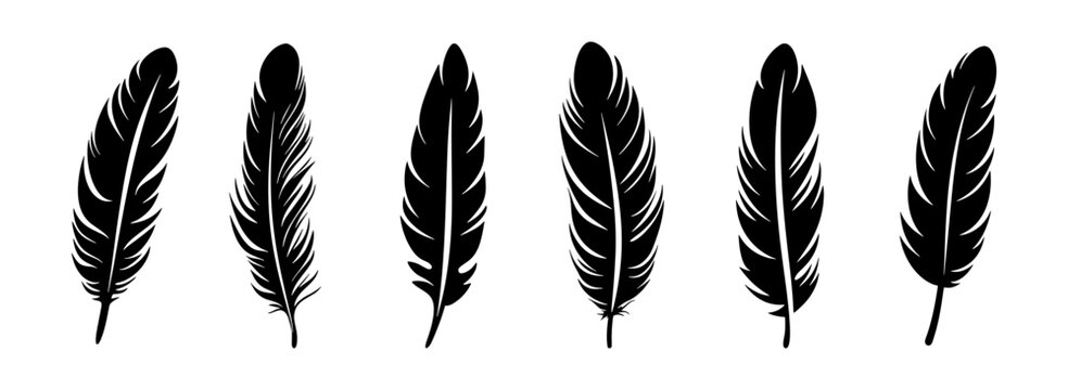 Feather vector illustration, black silhouette on white background. Lightweight sign, quill graphic element
