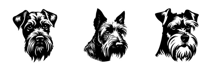 Scottish terrier dog breed head vector illustration. Pet portrait in style of hand drawn black doodle on white background