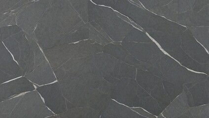 Dark grey soapstone surface with distinctive white veining and smooth texture.