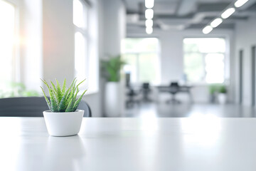 Well-lit open-space office after renovation with houseplant. Gleaming surfaces and seamless blend...