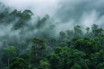 Lush green tropical rainforest enveloped in mist, showcasing biodiversity and the beauty of nature..