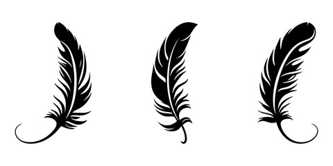 Obraz premium Black fluffy feather. Hand drawing vintage art realistic quill feathers for pen detailed isolated vector elegant silhouette sketch bird plume set